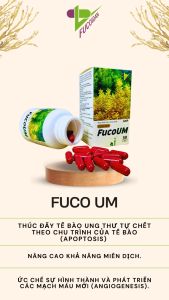 Nước uống hải tảo - sâm rong biển