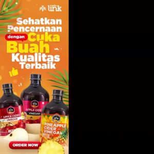 [BISA COD] Cuka Nanas Pineapple Cider Vinegar With Mother Madu Link 500ml ORIGINAL
