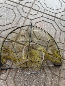 Mẹt lưới đa năng mào choè khướu trao trảo