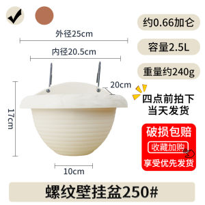 Alice Flower Pot Wall-Mounted Wall Hanging Half Wall European Semicircle Chlorophytum IRIS Plastic Wall Hanging