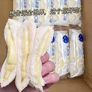 Lactobacillus Pockets Bread