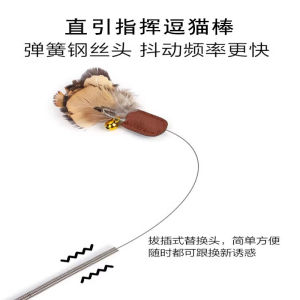 Professional CFA Competition Level Extendable Fishing Rod Cat Toy Long Pole Direct Pull Interactive Pet Playing Device