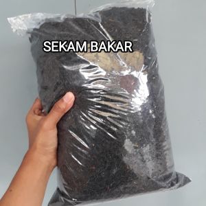 media tanam sekam bakar kemasan plastik 2 kg