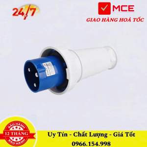Ổ Phích cắm công nghiệp 63A 1 pha 3 chấu nắp xoay chống nước di động và cố định Bộ ổ phích 1 pha 3 chân tiêu chuẩn IP67