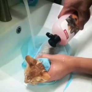 Cat shower Bag Scratch Resistant Turns Your Cat Well-Behaved in Seconds Easy Nail Trimming and Bathing Hassle-free Gro