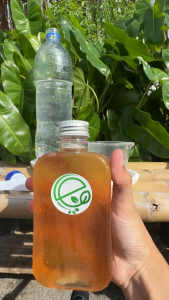 เอ็นกรีน จุลินทรีย์หน่อกล้วย (สูตรเข้มข้น) ส่งเสริมระบบราก ปรับปรุงดินให้ร่วนซุย l Engreen