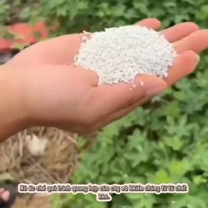 Bột diệt cây lớn loại bỏ bụi tre già diệt cỏ dại chỉ cần rắc hoặc vùi quanh gốc diệt cây to Vận Chuyển Nhanh Tại Việt Nam Hỗ Trợ Thu Tiền Khi Nhận Hàng - Lazada