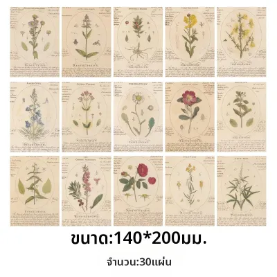 1 แพ็ค/30 ชิ้นกระดาษงานฝีมือสไตล์เรโทร ลายวินเทจ สำหรับสมุดบันทึก อัลบั้ม DIY ทำมือ อัลบั้มภาพตกแต่ง วัสดุสำหรับงานประดิษฐ์