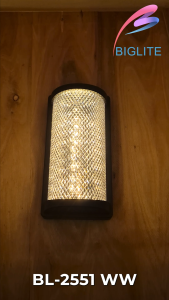 BIGLITE BL-2251 WW 12W 3000K LED OUTDOOR WALL LAMPS