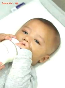 Sakumini Natural Feeding Bottle Botol Susu Bayi Newborn Anak 120ml 240ml Wideneck Wide Neck Dot Leher Lebar Puting Ibu Menyusui Anti Tersedak