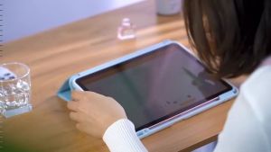 LionShield iPad 11th Generation A16/10th Gen 10/Air 7/6 11/13 inch M3 M2/Air 5/4/Pro 11/13 M5 M4/12.9/Mini 7/6 Flip Case Cover Casing