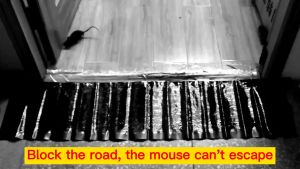 Sticky Glue Board Mouse Trap: Effective Rodent Catcher