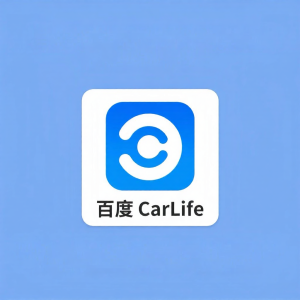 LUXIANXING | Wireless CarPlay Adapter for Specific WEY Series Vehicles