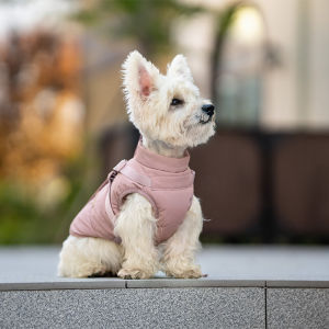 New Autumn Winter Pet Clothes Outdoor Dog Jacket with Harness for Small Medium Dogs Thick WarmPet Cotton-Padded Clothing