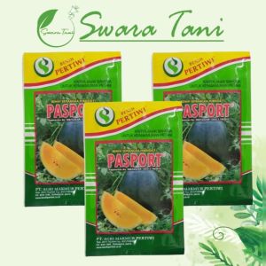 Benih Semangka Passport 20 Gram: Tanam Semangka Kuning Hibrida