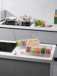 【Blees】ถาดเสิร์ฟเครื่องปรุง แบ่งกล่องผลไม้ 5 ถาดภาชนะใส่อาหาร คงความสดใหม่ของ พร้อมฝาปิด ใช้ซ้ําได้