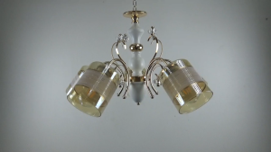 โคมไฟตกแต่งเพดาน Leon Light รุ่น DC-8227/5 สไตล์โมเดิร์น วัสดุโลหะผสมพลาสติก ประหยัดพลังงาน