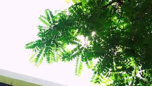 2025 ตะกร้านิรภัยสำหรับเด็กทารก ปรับเอนได้ ที่นั่งนิรภัยสำหรับเด็กทารก ตะกร้ามือถือสำหรับทารกแรกเกิด