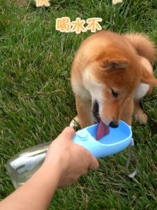 Leak Proof Portable Puppy Water Dispenser with Drinking Feeder