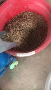 Khung máy ép cám viên 3 quả lô chưa động cơ