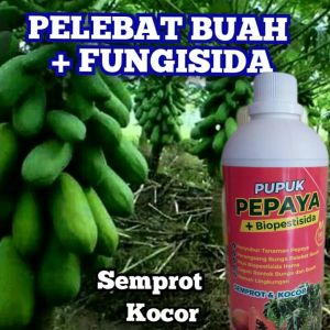 Pupuk Pepaya Booster Pelebat Buah Pupuk Cair Semprot dan Kocor Pupuk Ramah Lingkungan 1Liter