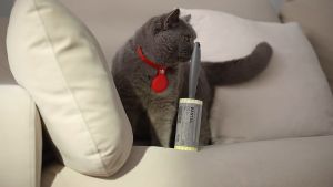 854 - Paket Rol Pembersih Bulu Kucing Lint Roller + Refill isi 4 - Rol Pembersih Debu Sofa Furniture