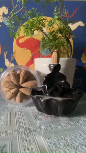 Nhang Trầm Thanh Rục Bì Kỳ Đặc Biệt Hương Thơm Thanh Khiết Thư Giãn Tinh Thần