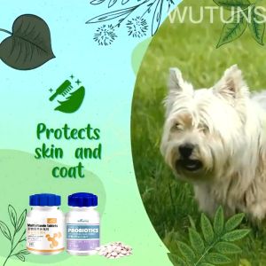 Borammy PROBIOTICS Supplements 180 Tablets/ Borammy Pet Elements Tablets/Chondroitin Large Calcium Supplements
