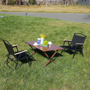 LINSI | Folding Portable Camp Chair