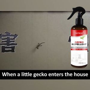 【No effect full refund】 lizard repellent gecko repellent lizard killer spray lizards trap cicak lizard killer racun ubat cicak 100% removal rate Harmless to pets and people 壁虎驱除剂