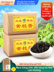 JianYunGe | Trà Ô Long Huangzhixiang Phoenix Dancong Mùa Xuân Mới 2026 500g