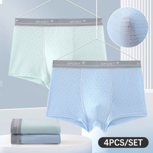 4pcs/Lot XL-6XL Kid Boy Underwear Modal Breathable Antibacterial Panties For Teenager Boys Plus Size Boxer Shorts