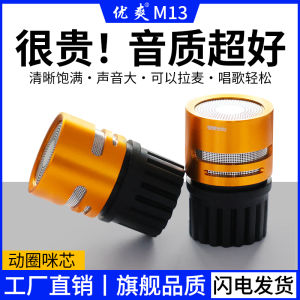 EasyToSing M13 Supreme Circle Mic Head Sound Large AntiHowl KTV Performance Copper Core Vocal Mic for Singing And Music