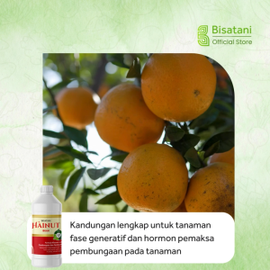 Hainut Buah 1 Liter Nutrisi Pelebat Bunga dan Buah Pupuk biar Cepar Berbuah Pupuk Booster segala Tanaman
