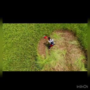 SUPER-M 10" X 40T Grass Cutter Blade / Mata Mesin Rumput Lawn Mower Brush Cutter Blade Circular Blade For Cutting Grass