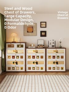 MEISD | Multipurpose Metal Storage Cabinet