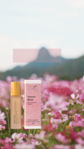 Organic Aromatherapy Perfume Oil/Velvet Rose/Comfort/Balance/Elegant/Alcohol Free/Decipher/L&P Organic & Natural/L&P Organic Perfumes/Perfume Oil