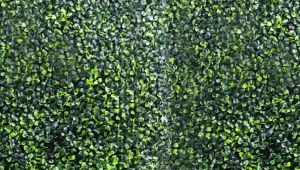 Artificial Plastic Grass Turf - 40cm x 60cm Milan Lawn Panel for Garden Wall & Outdoor Decor