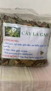 Cây lá gan (1kg) thảo dược giải độc gan men gan cao gan nhiễm mỡ xơ gan lợi mật vàng mắt vàng da các vấn đề về gan