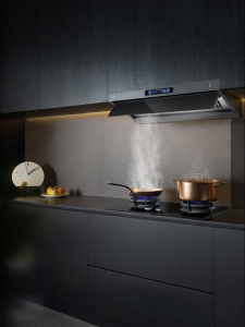 Integrated Top Side Extraction Range Hood and Gas Cooktop Set
