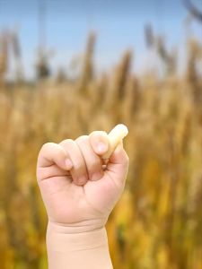 小鹿蓝蓝 婴幼儿泡芙条 21g Deer Blue Baby Puff Bars cheese/ Shrimp