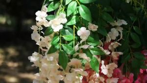 12pcs 111cm/Piece Artificial Fake Wisteria Vine Ratta Hanging Garland Silk Flowers String Home Party