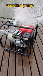 REAIM Gasoline Water Pump 4 Stroke 8.5HP 2/3 Inch High Lift High Power Heavy Duty Engine Water Pump for Agricultural Irrigation