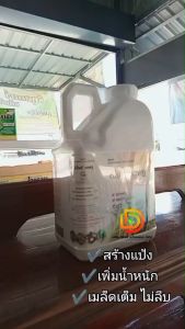 อะมิโนข้าว ( บั๊คไลซ์ F2 ) แกลลอน 5 ลิตร สูตรรับรวง น้ำตาลทางด่วน บำรุงรวง เมล็ดใหญ่ ขนาด 5 ลิตร ปุ๋ยน้ำ