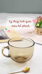 Set Tiết Kiệm - ComBo 2 Ly Thuỷ Tinh Màu Hổ Phách Cao Cấp Ly Nước Cốc Nước Có Tay Cầm Tiện Lợi Sang Trọng