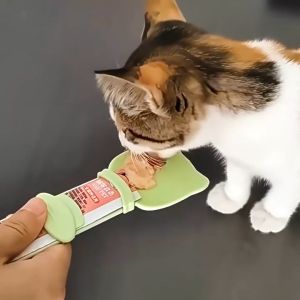 Cat Spoon Paste Strip Feeder For Squeeze Lick Liquid Wet Snack Treats