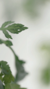 Sữa Dưỡng Ẩm Yehwadam Artemisia Soothing Moisturizing Emulsion Date 2/2026