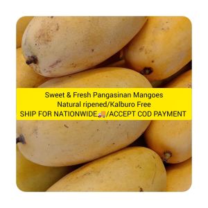 Growing Golden Healthy Crops Ph   F.S. Pangasinan Mangoes(Accept COD paymentWe Ship Nationwide)FREE SHIPPING AND FAST DELIVERY 🚚