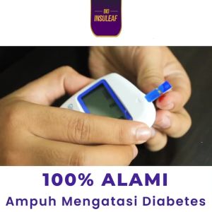 Paket 2 Botol Bio Insuleaf - 250 gr - Original BPOM