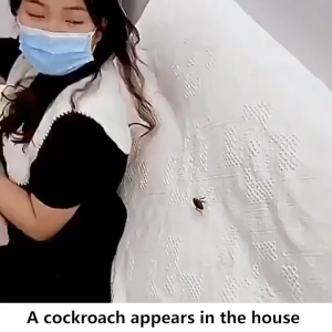 Transmission Roach Killer Powder/Long-Lasting Cockroach Bait/Household Safe Pest Control/Ubat Lipas Tahan Lama Berkesan